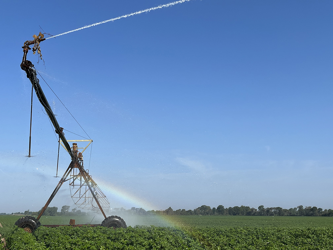 A pivot irrigation system keeps the field watered during the dry months of summer.