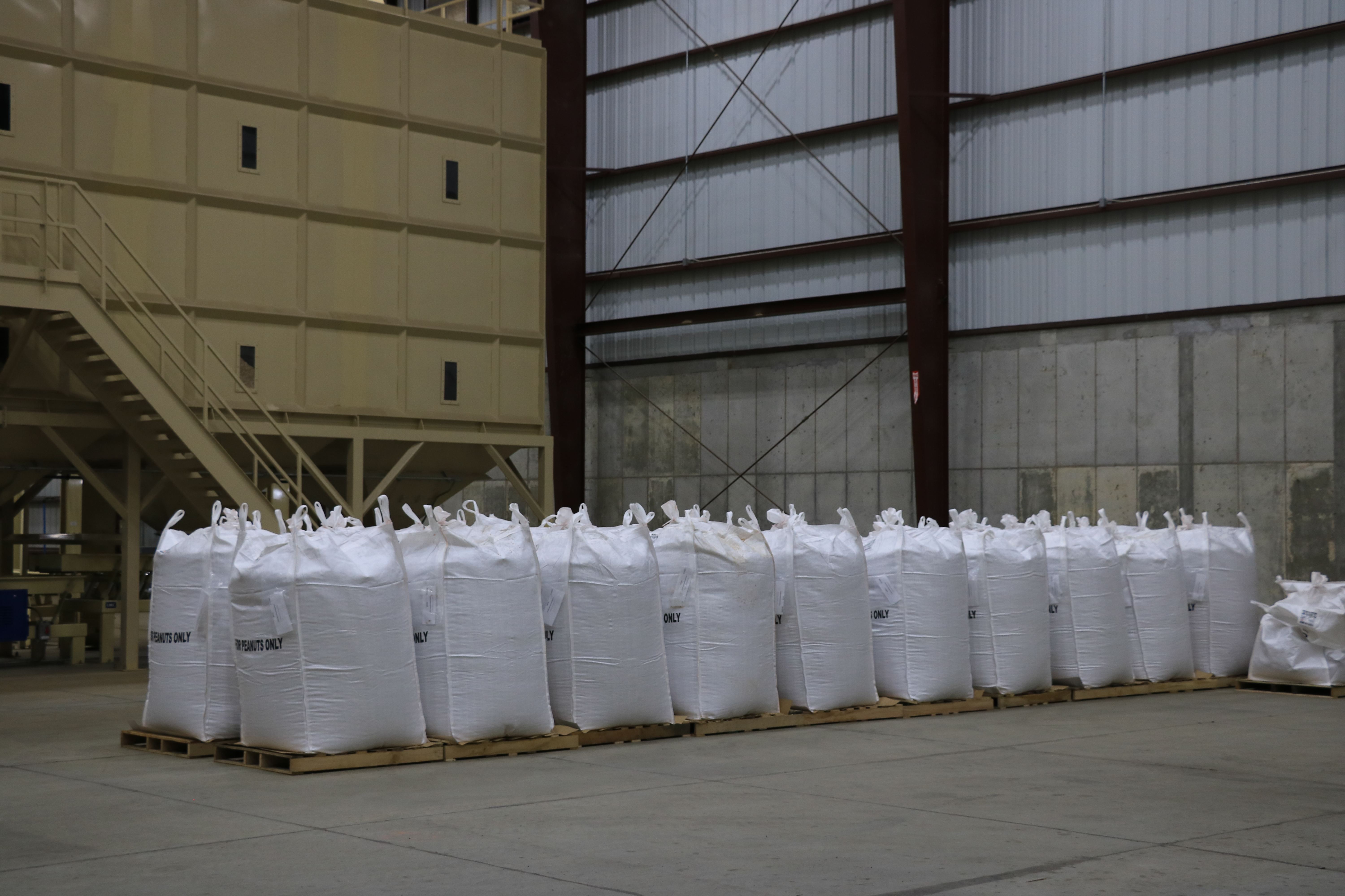 The final step is to bag the shelled peanuts to move to other facilities across the country.