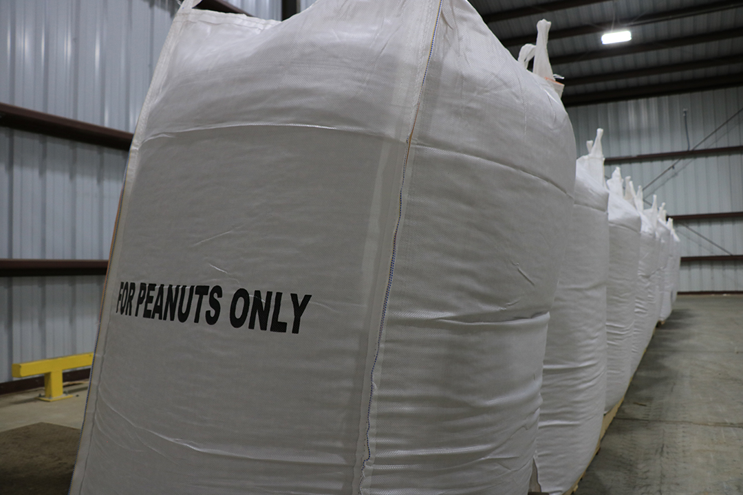 Depending on grading, peanuts will be used for human consumption, seed or animal feed.