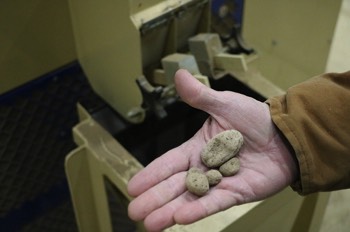 Rocks and other materials are removed from the peanuts as they enter the shelling facility.
