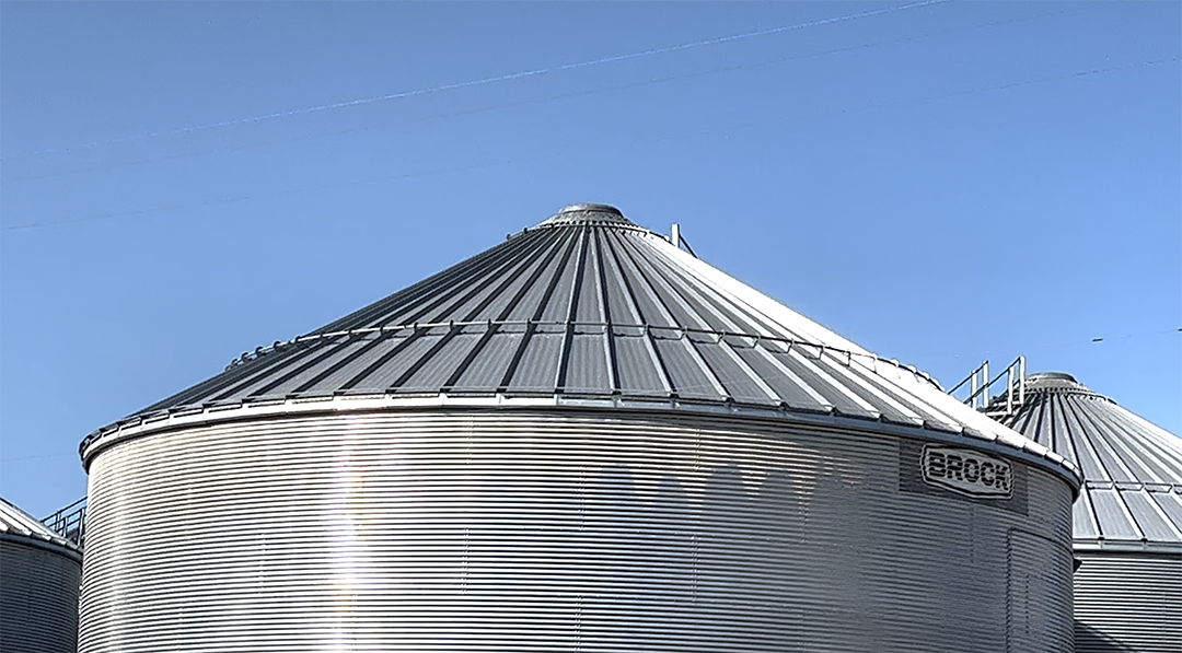 Rice will be stored in silos like this one until it is sold.