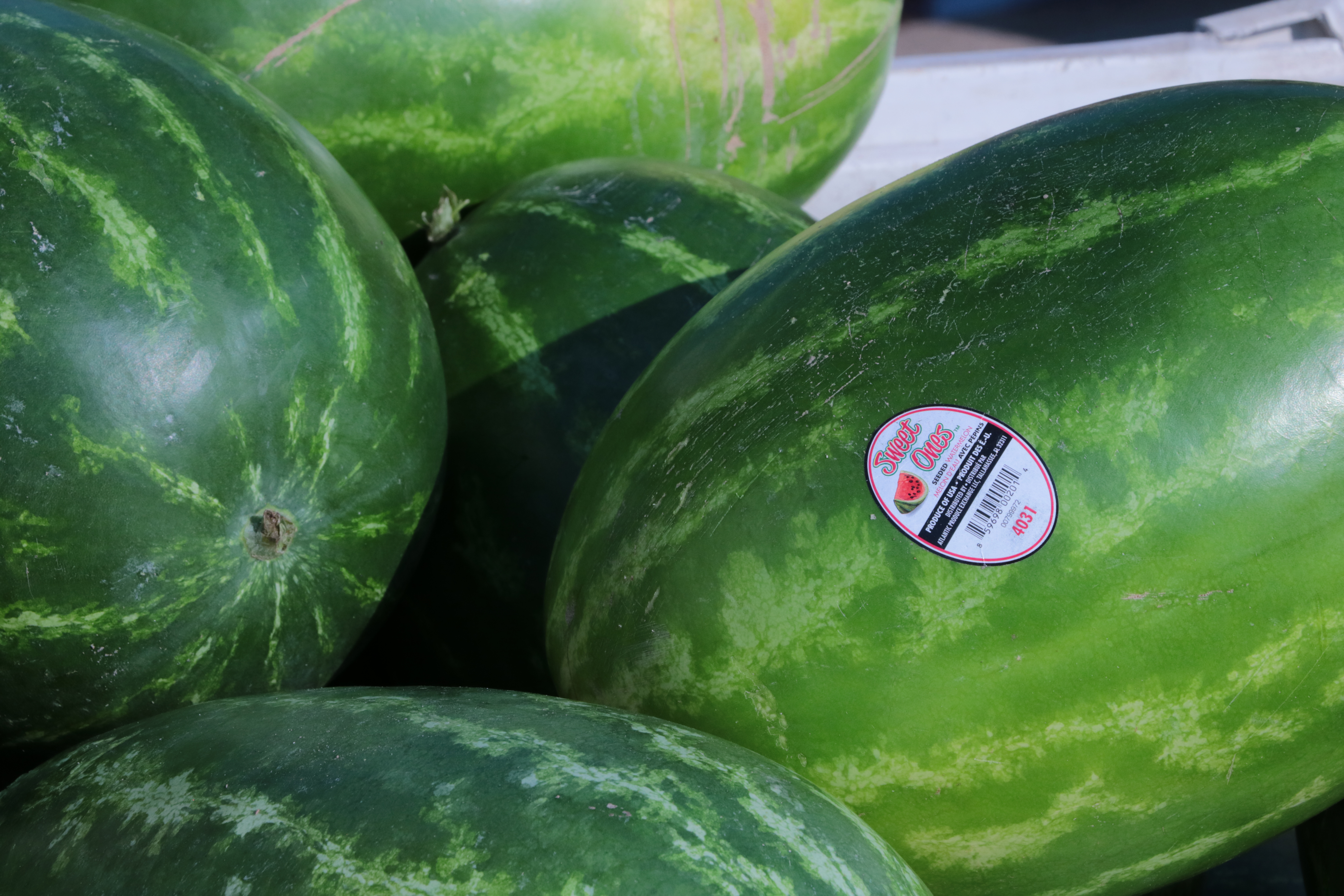 Once the melons are labeled, they are loaded into crates that will be shipped to retailers across the country.