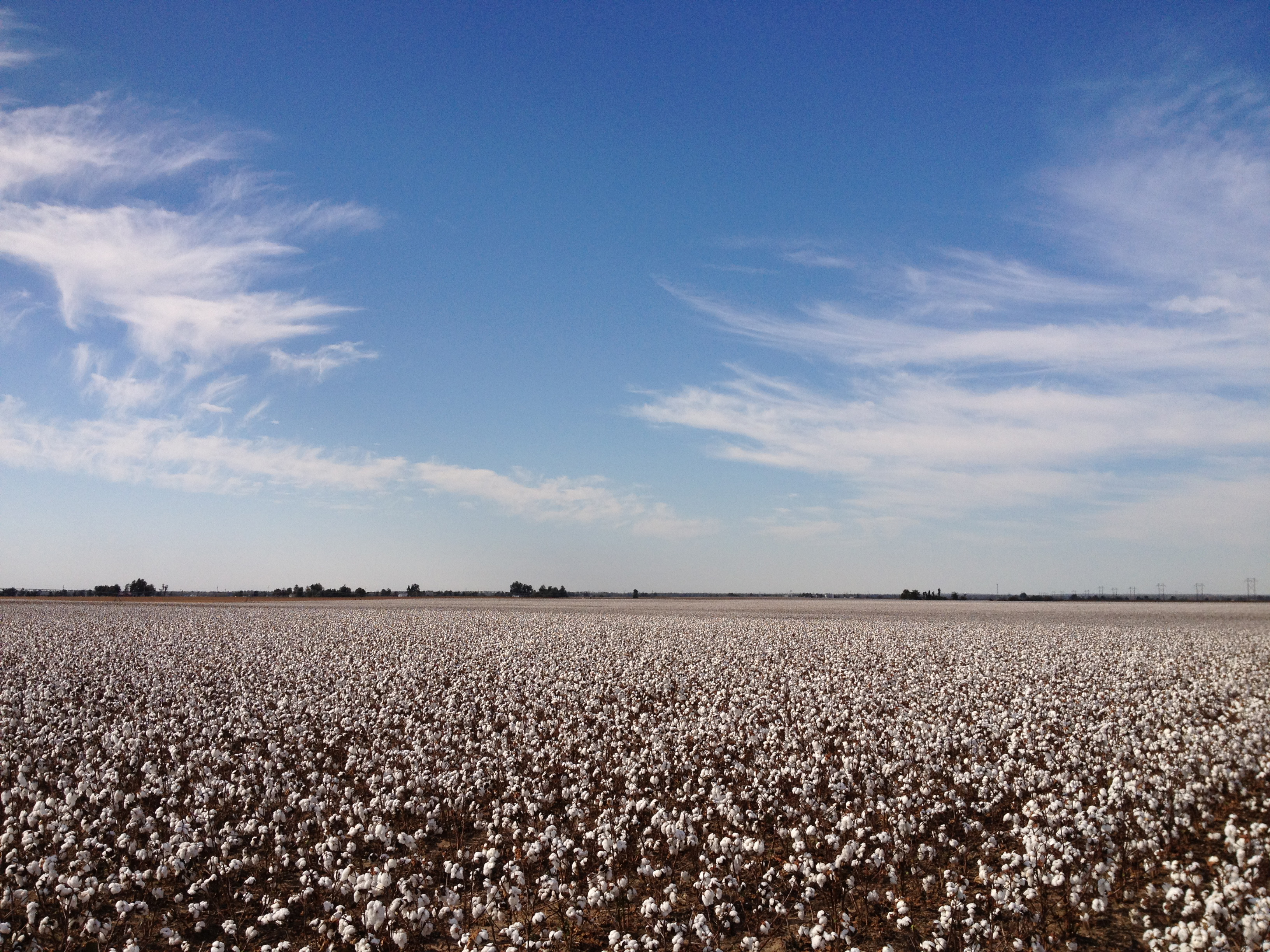 Harvest time.