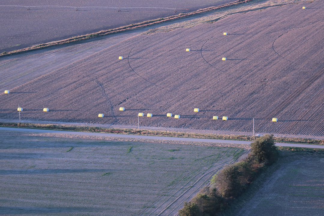 Picked cotton is packed in round bales that are left in the field to be picked up by a local gin.