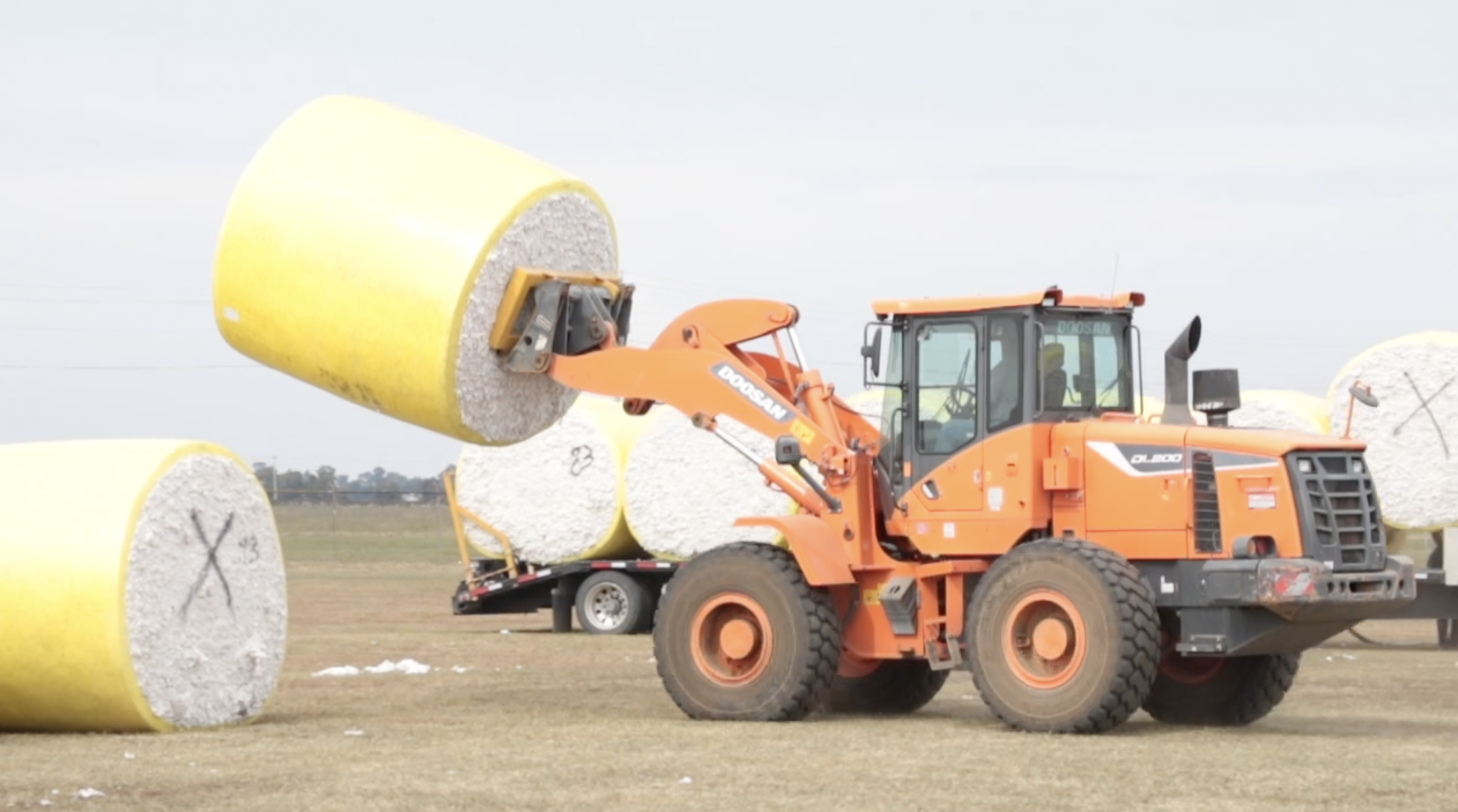 The cotton bales are transported to a local gin where they are offloaded.