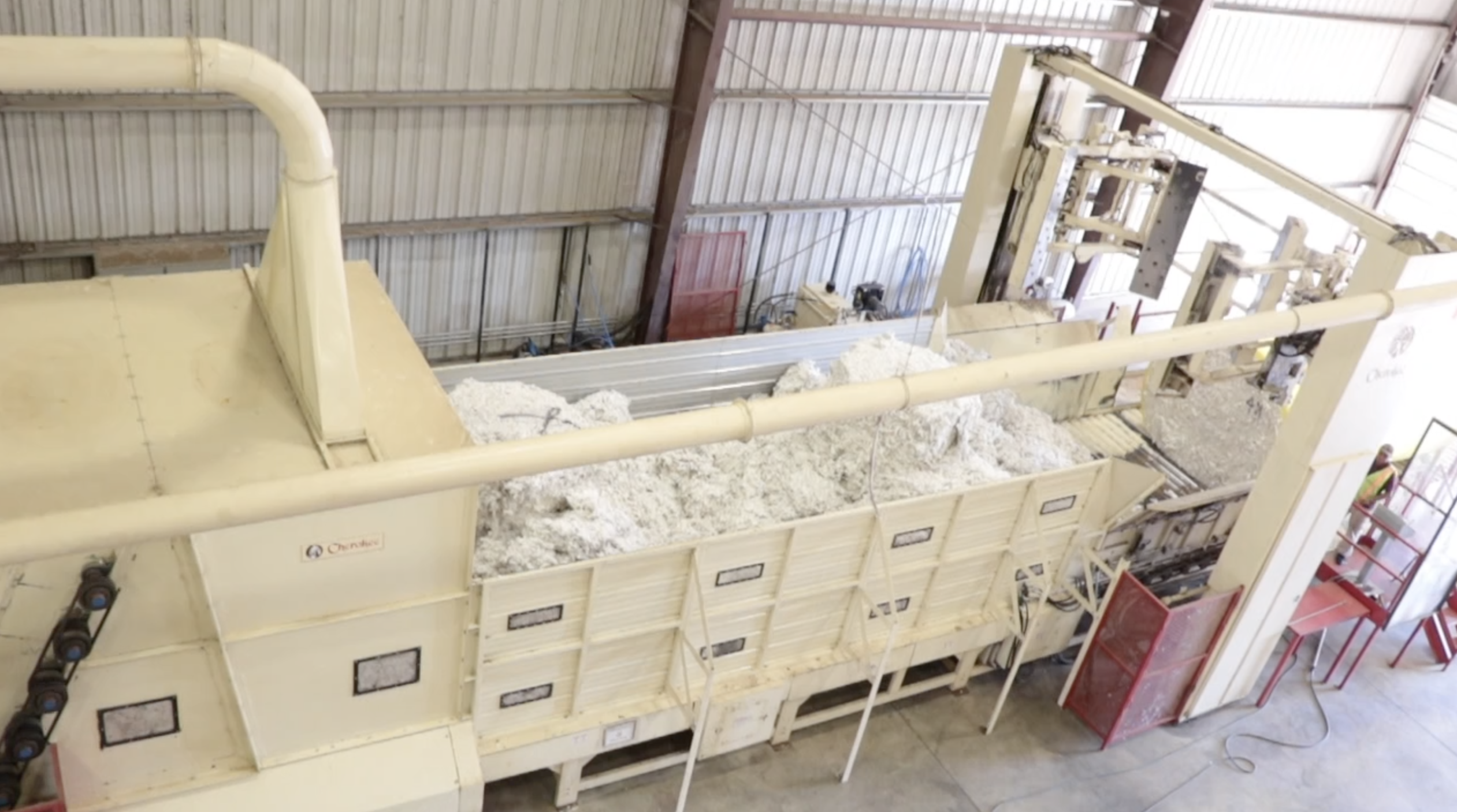 The packed bales enter the gin where they are torn apart to be cleaned.