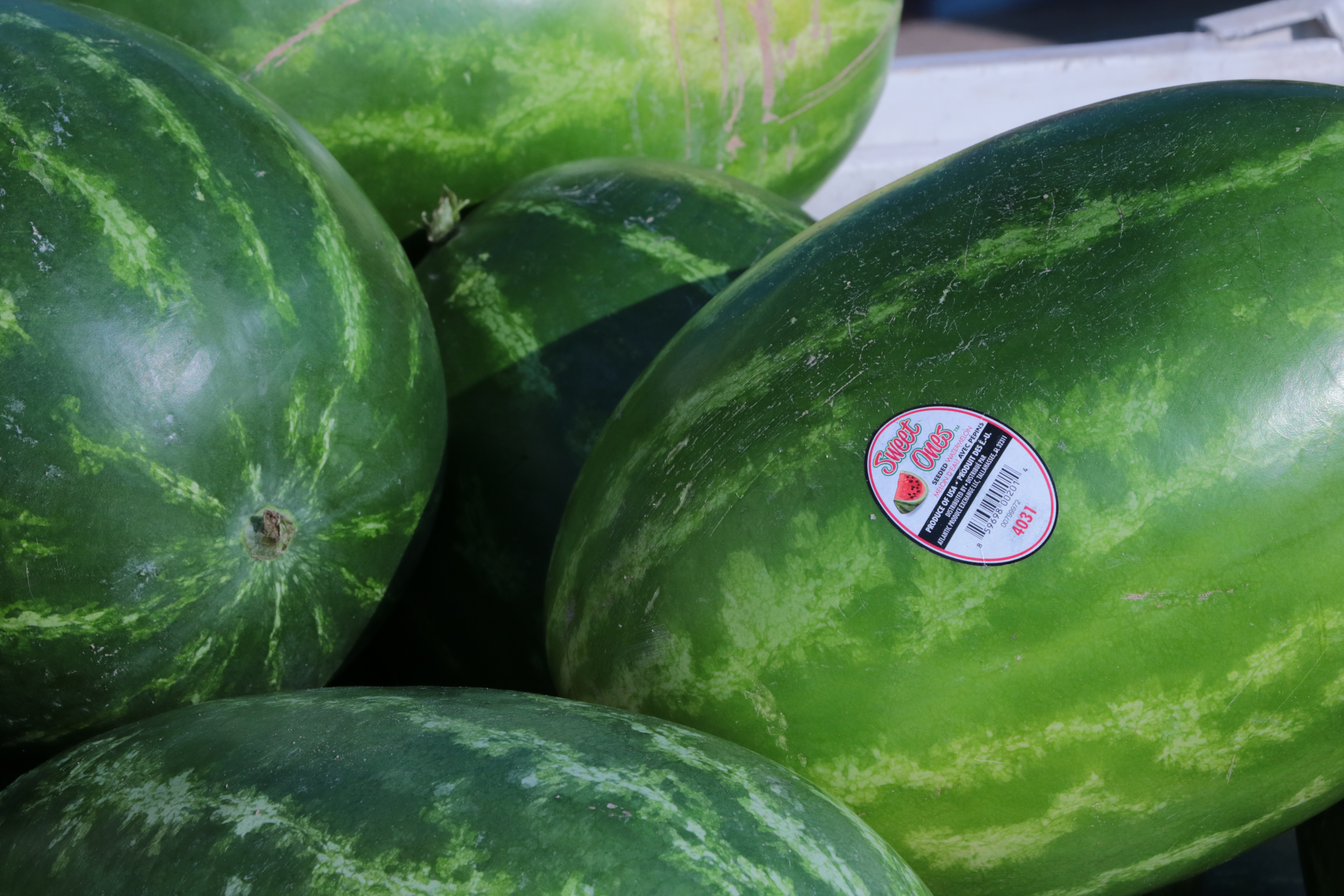 Line Loading Watermelons WATERMELON